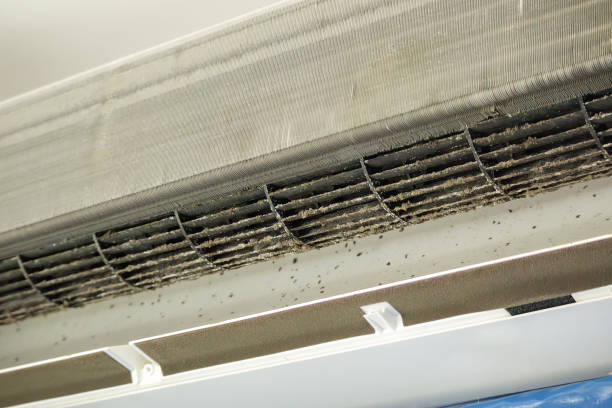 Best Affordable HVAC Duct Cleaning  in Cloverdale, CA